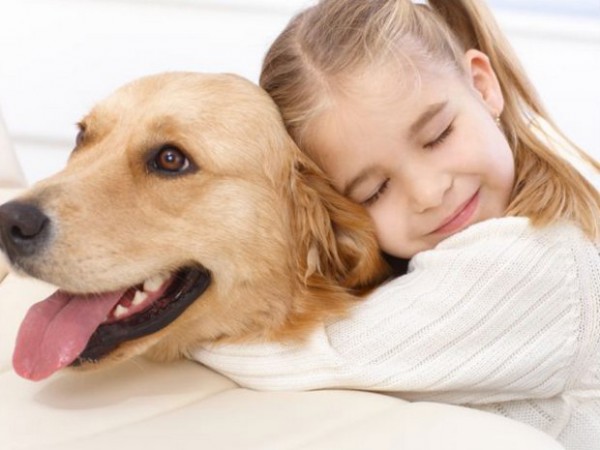 Основы лечения мастита у собак